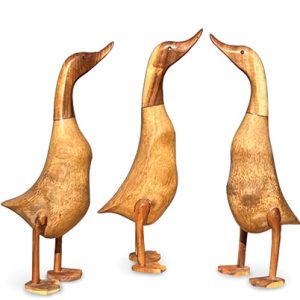 Wooden Root Ducks